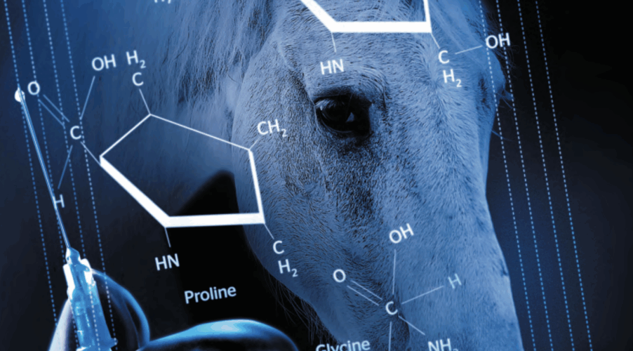 trẻ hoá da bằng collagen từ ngựa